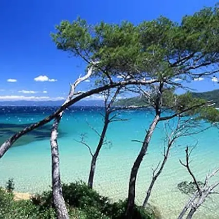 Villa Saint-come, Du Grand Luxe A 1 Min De La Hyeres